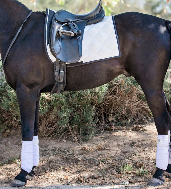 White Dressage Bundle on a black arabian horse. Black horse is tacked up with a saddle ontop of the white dressage saddle pad. The polo wraps are wrapped on the legs. Off camera is the white fly veil. White in color with semi shiny material.